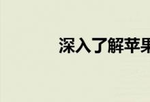 深入了解苹果如何构建新地图