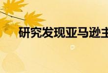 研究发现亚马逊主导假日电子商务销售