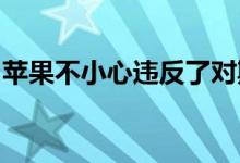 苹果不小心违反了对斯洛文尼亚开发商的制裁