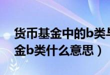 货币基金中的b类与a类有什么区别（货币基金b类什么意思）