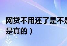 网贷不用还了是不是真的（网贷不用还了是不是真的）