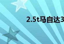 2.5t马自达3（T 2什么意思）