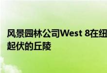 风景园林公司West 8在纽约海港的加弗纳斯岛上增加了连绵起伏的丘陵