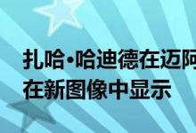 扎哈·哈迪德在迈阿密的一千博物馆塔的内饰在新图像中显示