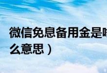 微信免息备用金是啥意思（微信免息备用金什么意思）