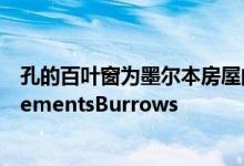 孔的百叶窗为墨尔本房屋的外立面赋予生气作者JacksonClementsBurrows