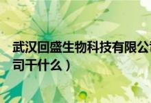 武汉回盛生物科技有限公司（武汉回盛生物科技股份有限公司干什么）