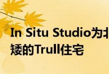 In Situ Studio为北卡罗莱纳州的林地创建低矮的Trull住宅