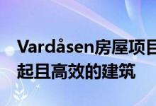 Vardåsen房屋项目的主要目的是建造负担得起且高效的建筑