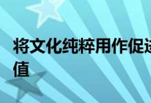 将文化纯粹用作促进手段而不是承认其社会价值