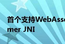 首个支持WebAssembly的Java扩展库Wasmer JNI