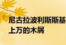 尼古拉波利斯斯基的SELPO展馆覆盖了成千上万的木屑