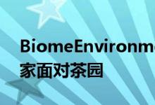 BiomeEnvironmentalSolutions的犀鸟之家面对茶园