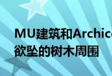 MU建筑和Archicop的法国学校在屋顶摇摇欲坠的树木周围