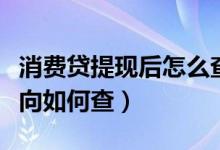 消费贷提现后怎么查资金流向（消费贷资金流向如何查）