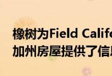 橡树为Field California建筑事务所设计的北加州房屋提供了信息