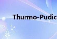 Thurmo-Pudic提供先进的粘性泡沫