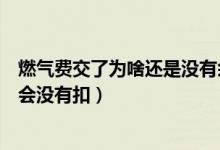 燃气费交了为啥还是没有余额显示（燃气费账户余额为什么会没有扣）