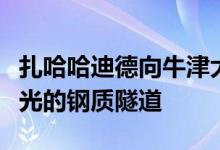 扎哈哈迪德向牛津大学学院添加了一条闪闪发光的钢质隧道