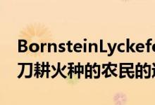 BornsteinLyckefors的原木博物馆纪念芬兰刀耕火种的农民的遗产