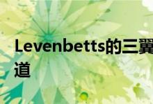 Levenbetts的三翼36SML房屋中间有一条车道