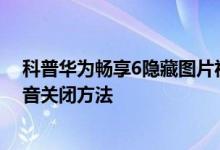 科普华为畅享6隐藏图片视频教程及OPPO R9s相机快门声音关闭方法