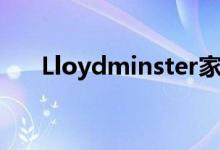 Lloydminster家具业务在30年后关闭