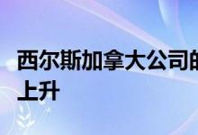 西尔斯加拿大公司的收入随着销售额的增长而上升