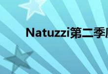 Natuzzi第二季度销售额下降12.5%