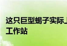 这只巨型蝎子实际上是零重力游戏椅和计算机工作站