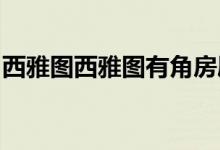 西雅图西雅图有角房屋设计采用红色窗框设计