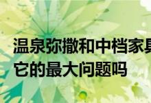 温泉弥撒和中档家具市场最大的机遇也可能是它的最大问题吗