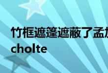 竹框遮篷遮蔽了孟加拉国社区中心SchilderScholte