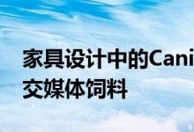 家具设计中的Caning以及为什么它是我的社交媒体饲料