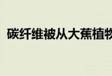 碳纤维被从大蕉植物中提取的碳纤维所替代