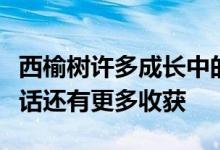 西榆树许多成长中的分支机构第四季度收益电话还有更多收获