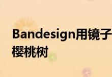 Bandesign用镜子覆盖咖啡馆​​以反射一排樱桃树