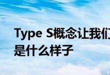 Type S概念让我们第一次看到未来的车型会是什么样子