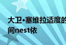 大卫·塞维拉适度的度假胜地在墨西哥棕榈树间nest依