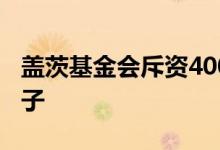 盖茨基金会斥资400万美元培育消灭疟疾的蚊子