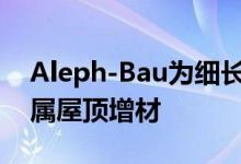 Aleph-Bau为细长的多伦多联排别墅创建金属屋顶增材