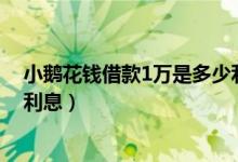 小鹅花钱借款1万是多少利息（使用小鹅花钱是不是都要算利息）