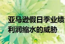 亚马逊假日季业绩公布 UPS和联邦快递面临利润缩水的威胁