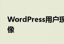 WordPress用户现在可以访问更好的库存图像