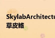 SkylabArchitecture的水处理设施的屋顶是草皮鳍