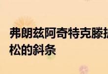 弗朗兹阿奇特克滕扩建的家庭住宅覆盖着落叶松的斜条