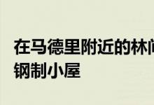 在马德里附近的林间空地中嵌入玻璃和生锈的钢制小屋