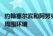 约翰塞尔宾和阿努克沃格尔的镜子之家伪装成周围环境