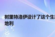 树里特洛伊设计了这个生态友好的木材房子作为家在农村奥地利