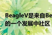 BeagleV是来自BeagleBoard.org57基金会的一个发展中社区